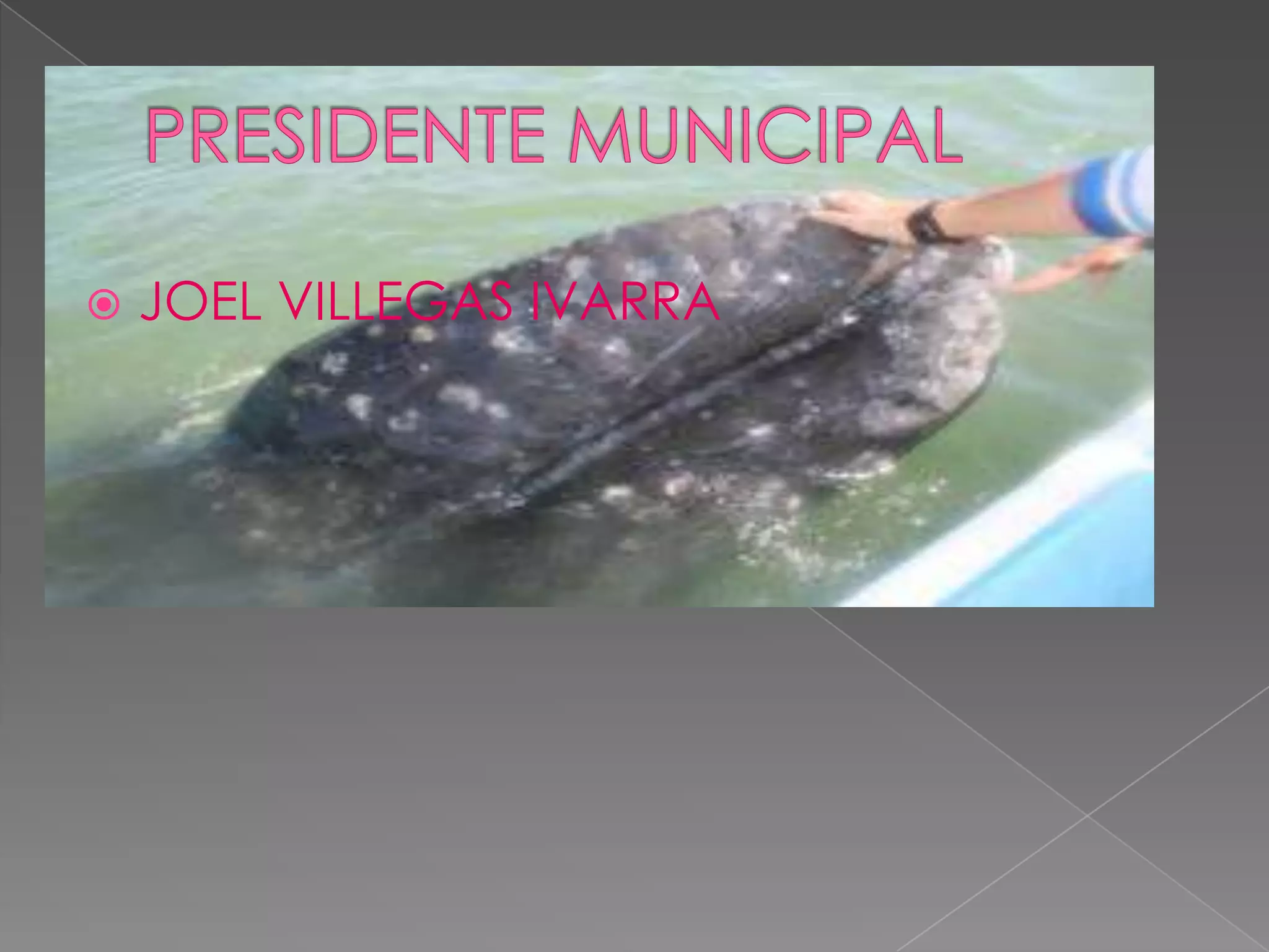    JOEL VILLEGAS IVARRA
 