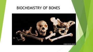 BIOCHEMISTRY OF BONES
 