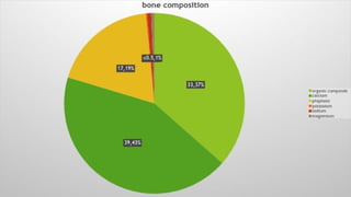Comonent of bone Slide 19