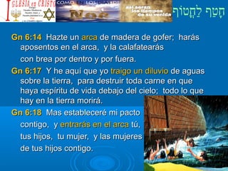 ‫וף‬ֹ‫ף‬‫חוט‬ֳ‫וט‬‫ל‬ַ‫ח‬ ‫וטף‬ַ‫ח‬‫ח‬ָ¿Cristiano?¿Cristiano?
Gn 6:14Gn 6:14 Hazte unHazte un arcaarca de madera de gofer; harásde madera de gofer; harás
aposentos en el arca, y la calafatearásaposentos en el arca, y la calafatearás
con brea por dentro y por fuera.con brea por dentro y por fuera.
Gn 6:17Gn 6:17 Y he aquí que yoY he aquí que yo traigo un diluviotraigo un diluvio de aguasde aguas
sobre la tierra, para destruir toda carne en quesobre la tierra, para destruir toda carne en que
haya espíritu de vida debajo del cielo; todo lo quehaya espíritu de vida debajo del cielo; todo lo que
hay en la tierra morirá.hay en la tierra morirá.
Gn 6:18Gn 6:18 Mas estableceré mi pactoMas estableceré mi pacto
contigo, ycontigo, y entrarás en el arcaentrarás en el arca tú,tú,
tus hijos, tu mujer, y las mujerestus hijos, tu mujer, y las mujeres
de tus hijos contigo.de tus hijos contigo.
 
