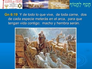 ‫וף‬ֹ‫ף‬‫חוט‬ֳ‫וט‬‫ל‬ַ‫ח‬ ‫וטף‬ַ‫ח‬‫ח‬ָ¿Cristiano?¿Cristiano?
Gn 6:19Gn 6:19 Y de todo lo que vive, de toda carne, dosY de todo lo que vive, de toda carne, dos
de cada especie meterás en el arca, para quede cada especie meterás en el arca, para que
tengan vida contigo; macho y hembra serán.tengan vida contigo; macho y hembra serán.
 
