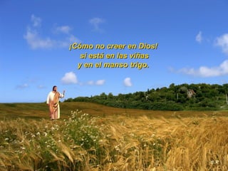 ¡Cómo no creer en Dios!   si está en las viñas y en el manso trigo.   