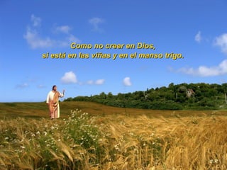 Como no creer en Dios,   si está en las viñas y en el manso trigo.   