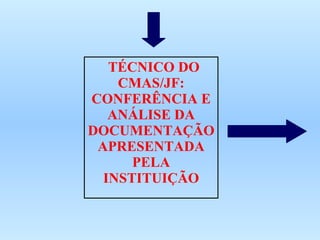 TÉCNICO DO CMAS/JF: CONFERÊNCIA E ANÁLISE DA DOCUMENTAÇÃO APRESENTADA PELA INSTITUIÇÃO 
