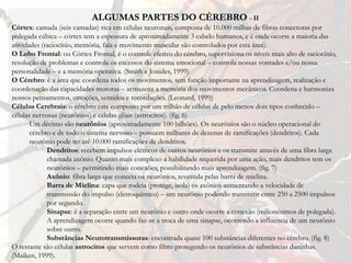 ALGUMAS PARTES DO CÉREBRO - II
Córtex: camada (seis camadas) rica em células neuronais, composta de 10.000 milhas de fibras conectoras por
polegada cúbica – córtex tem a espessura de aproximadamente 3 cabelo humanos, e é onde ocorre a maioria das
atividades (raciocínio, memória, fala e movimento muscular são controlados por esta área).
O Lobo Frontal: ou Córtex Frontal, é o controle efetivo do cérebro, supervisiona os níveis mais alto de raciocínio,
resolução de problemas e controla os excessos do sistema emocional – controla nossas vontades e/ou nossa
personalidade – e a memória operativa. (Smith e Jonides, 1999)
O Cérebro: é a área que coordena todos os movimentos, tem função importante na aprendizagem, realização e
coordenação das capacidades motoras – armazena a memória dos movimentos mecânicos. Coordena e harmoniza
nossos pensamentos, emoções, sentidos e recordações. (Leonard, 1999)
Células Cerebrais: o cérebro esta composto por um trilhão de células de pelo menos dois tipos conhecido –
células nervosas (neurônios) e células gliais (astrocitos). (fig. 6)
       Um décimo são neurônios (aproximadamente 100 bilhões). Os neurônios são o núcleo operacional do
       cérebro e de todo o sistema nervoso – possuem milhares de dezenas de ramificações (dendritos). Cada
       neurônio pode ter até 10.000 ramificações de dendritos.
             Dendritos: recebem impulsos elétricos de outros neurônios e os transmite através de uma fibra larga
             chamada axônio. Quanto mais complexo a habilidade requerida por uma ação, mais dendritos tem os
             neurônios – permitindo mais conexões, possibilitando mais aprendizagem. (fig. 7)
             Axônio: fibra larga que conecta os neurônios, revestida pelas barra de mielina.
             Barra de Mielina: capa que rodeia (protege, isola) os axônios aumentando a velocidade de
             transmissão do impulso (eletroquímico) – um neurônio podendo transmitir entre 250 a 2500 impulsos
             por segundo.
             Sinapse: é a separação entre um neurônio e outro onde ocorre a conexão (milionésimos de polegada).
             A aprendizagem ocorre quando faz-se a troca de uma sinapse, ocorrendo a influencia de um neurônio
             sobre outro.
             Substâncias Neurotransmissoras: encontrada quase 100 substâncias diferentes no cérebro. (fig. 8)
O restante são células astrocitos que servem como filtro protegendo os neurônios de substâncias daninhas.
(Maiken, 1999).
 