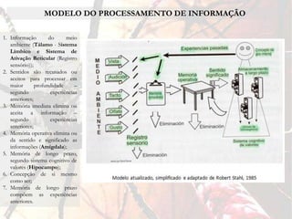MODELO DO PROCESSAMENTO DE INFORMAÇÃO

1. Informação        do      meio
   ambiente (Tálamo - Sistema
   Límbico e Sistema de
   Ativação Reticular (Registro
   sensório));
2. Sentidos são recusados ou
   aceitos para processar em
   maior       profundidade      –
   segundo            experiências
   anteriores;
3. Memória imediata elimina ou
   aceita a informação –
   segundo            experiências
   anteriores;
4. Memória operativa elimina ou
   da sentido e significado as
   informações (Amígdala);
5. Memória de longo prazo,
   segundo sistema cognitivo de
   valores (Hipocampo);
6. Concepção de si mesmo
   como ser;
7. Memória de longo prazo
   compõem as experiências
   anteriores.
 