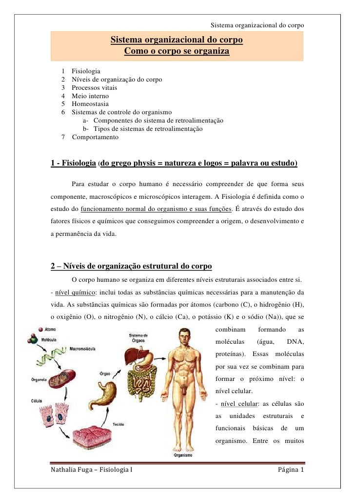 Qual O Maior Nível Organizacional Do Corpo Humano