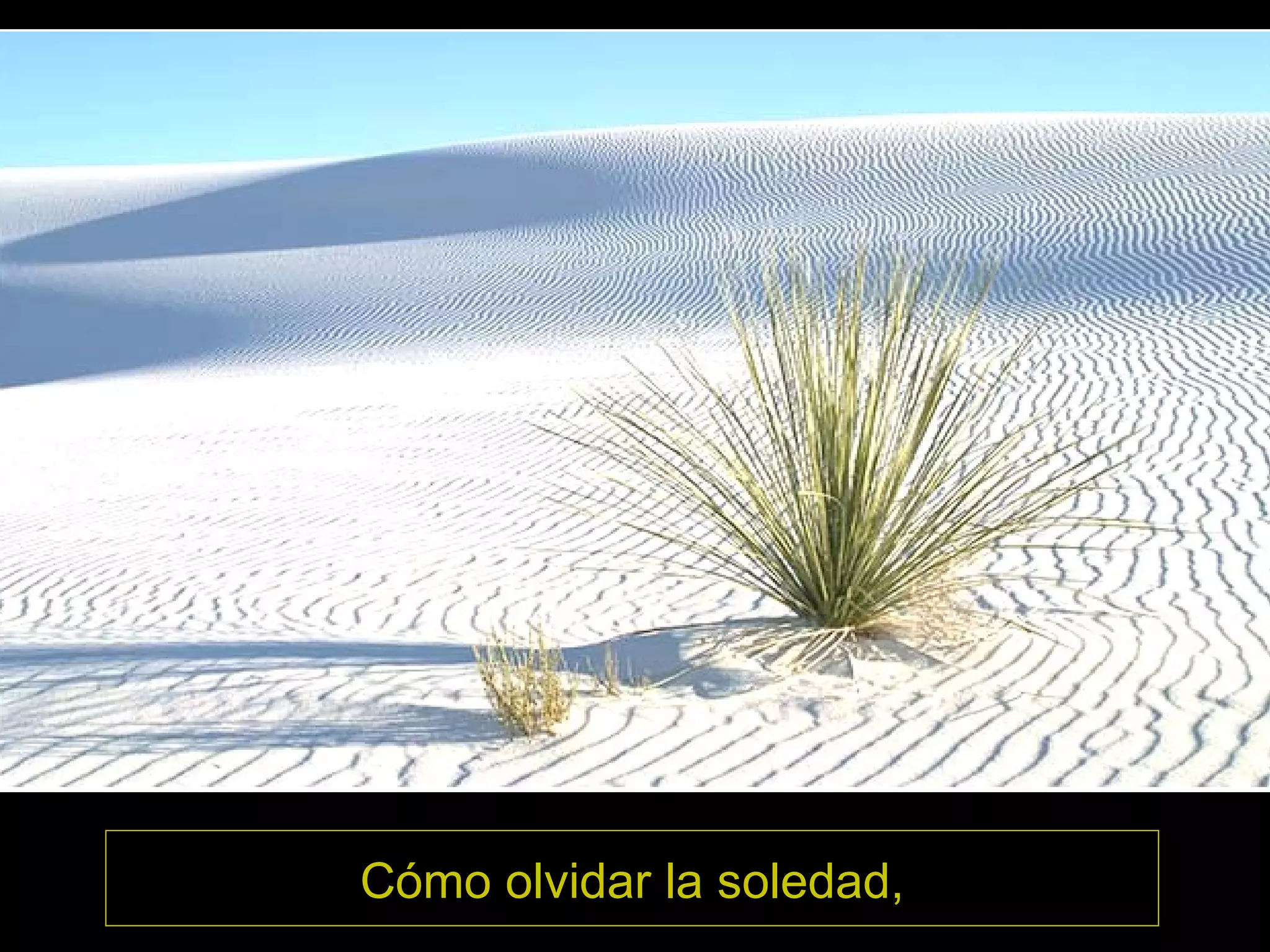 Cómo olvidar la soledad,