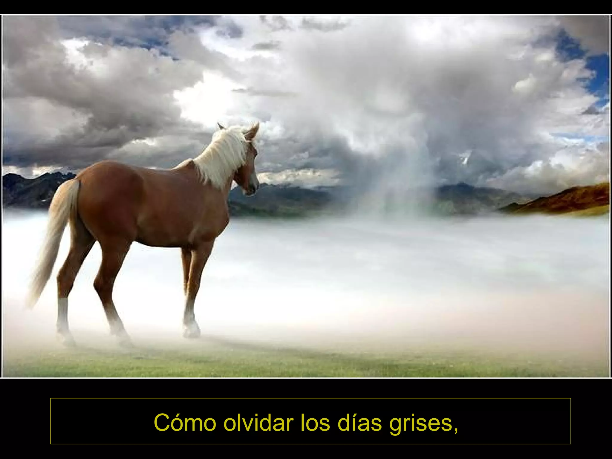 Cómo olvidar los días grises,