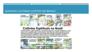 QUANTAS COLÔNIAS EXISTEM NO BRASIL?
 
