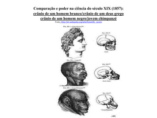 Comparação e poder na ciência do século XIX (1857):
crânio de um homem branco/crânio de um deus grego
crânio de um homem negro/jovem chimpanzé
Fonte: http://en.wikipedia.org/wiki/Scientific_racism
