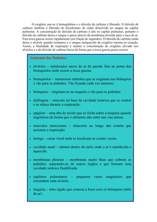 O oxigênio une-se à hemoglobina e o dióxido de carbono é liberado. O dióxido de
carbono também é liberado do bicarbonato de sódio dissolvido no sangue do capilar
pulmonar. A concentração de dióxido de carbono é alta no capilar pulmonar, portanto o
dióxido de carbono deixa o sangue e passa através da membrana alveolar para o saco de ar.
Esta troca gasosa ocorre rapidamente (em fração de segundos). O dióxido de carbono então
deixa o alvéolo quando exalamos e o sangue enriquecido de oxigênio retorna ao coração.
Assim, a finalidade da respiração é manter a concentração de oxigênio elevado nos
alvéolos e a de dióxido de carbono baixa de forma que a troca gasosa possa ocorrer.
Anatomia dos Pulmões:
• alvéolos – minúsculos sacos de ar de parede fina na ponta dos
bronquíolos onde ocorre a troca gasosa.
• bronquíolos - numerosos tubinhos que se originam nos brônquios
e vão para os pulmões. Vão ficando cada vez menores.
• brônquios – originam-se na traquéia e vão para os pulmões.
• diafragma – músculo na base da cavidade torácica que se contrai
e se relaxa durante a respiração.
a alvéolo.
• epiglote – uma aba de tecido que se fecha sobre a traquéia quando
engolimos de forma que o alimento não entre nas vias aéreas.
• músculos intercostais – músculos ao longo das costela que
assistem a respiração.
• laringe – caixa vocal onde se localizam as cordas vocais.
• cavidade nasal – câmara dentro do nariz onde o ar é umedecido e
aquecido.
• membranas pleurais – membranas muito finas que cobrem os
pulmões, separando-os de outros órgãos e que formam uma
cavidade torácica fluidificada.
• capilares pulmonares – pequenos vasos sanguíneos que
circundam cad
• traquéia – tubo rígido que conecta a boca com os brônquios (tubo
de ar).
 