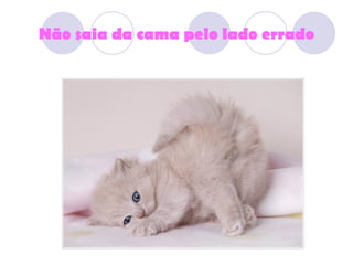 Não saia da cama pelo lado errado 