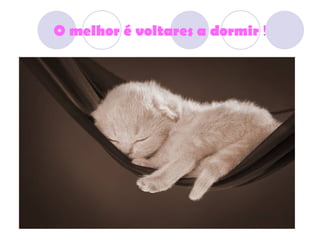 O melhor é voltares a dormir  ! 
