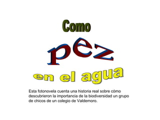 Como pez en el agua Esta fotonovela cuenta una historia real sobre cómo descubrieron la importancia de la biodiversidad un grupo de chicos de un colegio de Valdemoro. 