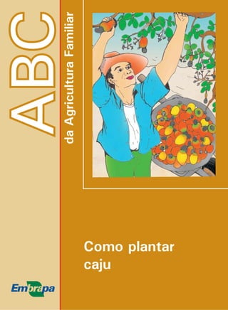 ABC 
da Agricultura Familiar 
Como plantar 
caju 
 