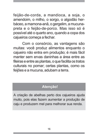 feijão-de-corda, a mandioca, a soja, o 
amendoim, o milho, o sorgo, o algodão her-báceo, 
a mamona-anã, o gergelim, a mucuna-preta 
e o feijão-de-porco. Mas isso só é 
possível até o quarto ano, quando a copa dos 
cajueiros começa a fechar. 
Com o consórcio, as vantagens são 
muitas: você produz alimentos enquanto o 
cajueiro não entra em produção; é mais fácil 
manter sem ervas daninhas a área entre as 
fileiras e entre as plantas, o que facilita os tratos 
culturais no pomar; certas plantas, como os 
feijões e a mucuna, adubam a terra. 
Atenção! 
A criação de abelhas perto dos cajueiros ajuda 
muito, pois elas fazem aumentar a produção de 
caju e produzem mel para melhorar sua renda. 
16 
 
