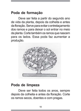 Poda de formação 
Deve ser feita a partir do segundo ano 
de vida da planta, depois da colheita e antes 
da floração. Serve para evitar o entrelaçamento 
dos ramos e para deixar o sol entrar no meio 
da planta. Corte também os ramos que nascem 
para os lados. Essa poda faz aumentar a 
produção. 
Poda de limpeza 
Deve ser feita todos os anos, sempre 
depois da colheita e antes da floração. Corte 
os ramos secos, doentes e com pragas. 
18 
 
