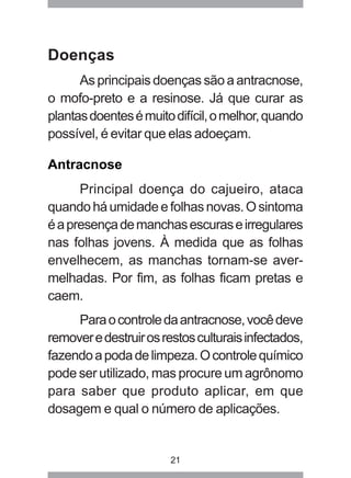 21 
Doenças 
As principais doenças são a antracnose, 
o mofo-preto e a resinose. Já que curar as 
plantas doentes é muito difícil, o melhor, quando 
possível, é evitar que elas adoeçam. 
Antracnose 
Principal doença do cajueiro, ataca 
quando há umidade e folhas novas. O sintoma 
é a presença de manchas escuras e irregulares 
nas folhas jovens. À medida que as folhas 
envelhecem, as manchas tornam-se aver-melhadas. 
Por fim, as folhas ficam pretas e 
caem. 
Para o controle da antracnose, você deve 
remover e destruir os restos culturais infectados, 
fazendo a poda de limpeza. O controle químico 
pode ser utilizado, mas procure um agrônomo 
para saber que produto aplicar, em que 
dosagem e qual o número de aplicações. 
 