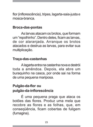 flor (inflorescência), tripes, lagarta-saia-justa e 
mosca-branca. 
23 
Broca-das-pontas 
As larvas atacam os brotos, que formam 
um “repolhinho”. Dentro deles, ficam as larvas, 
de cor alaranjada. Arranque os brotos 
atacados e destrua as larvas, para evitar sua 
multiplicação. 
Traça-das-castanhas 
A lagarta entra na castanha nova e destrói 
toda a amêndoa. Depois, ela abre um 
buraquinho na casca, por onde sai na forma 
de uma pequena mariposa. 
Pulgão-da-flor ou 
pulgão-da-inflorescência 
É uma pequena praga que ataca os 
botões das flores. Produz uma mela que 
recobre as flores e as folhas, que, em 
conseqüência, ficam cobertas de fuligem 
(fumagina). 
 