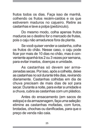 frutos todos os dias. Faça isso de manhã, 
colhendo os frutos recém-caídos e os que 
estiverem maduros no cajueiro. Retire as 
castanhas e lave a polpa (pedúnculo). 
Do mesmo modo, colha apenas frutos 
maduros se o destino for o mercado de frutas, 
pois o caju não amadurece fora da planta. 
Se você quiser vender a castanha, colha 
os frutos do chão. Nesse caso, o caju pode 
ficar por mais de 10 dias no chão, mas é con-veniente 
apanhá-los 2 ou 3 vezes por semana, 
para evitar insetos, doenças e umidade. 
As castanhas só devem ser arma-zenadas 
secas. Por isso, após a colheita, deixe 
as castanhas no sol durante três dias, revirando 
diariamente. Castanhas colhidas em dia de 
chuva precisam de mais dias de sol para 
secar. Durante a noite, para evitar a umidade e 
a chuva, cubra as castanhas com um plástico. 
Antes do ensacamento (em sacos de 
estopa) e da armazenagem, faça uma seleção: 
elimine as castanhas mofadas, com furos, 
brotadas, chochas ou danificadas, para que o 
preço de venda não caia. 
25 
 
