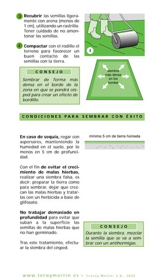 3 Recubrir las semillas ligeramente con arena (menos de
1 cm), utilizando un rastrillo.
Tener cuidado de no amontonar las semillas.
4 Compactar con el rodillo el
terreno para favorecer un
buen contacto de las
semillas con la tierra.
C O N S E J O

Sembrar de forma más
densa en el borde de la
zona en que se pondrá césped para crear un efecto de
bordillo.

4

siembra
más densa
en los
bordes

C O N D I C I O N E S PA R A S E M B R A R C O N É X I T O

En caso de sequía, regar con
aspersores, manteniendo la
humedad en el suelo, por lo
menos en 5 cm de profuncidad.

5 cm minimum
mínimo 5 cm de tierra húmeda
de terre humide

Con el fin de evitar el crecimiento de malas hierbas,
realizar una siembra falsa, es
decir: preparar la tierra como
para sembrar, dejar que crezcan las malas hierbas y tratarlas con un herbicida a base de
glifosato.
No trabajar demasiado en
profundidad para evitar que
suban a la superficie las
semillas de malas hierbas que
no han germinado.
Tras este tratamiento, efectuar la siembra del césped.

www.leroymerlin.es

C O N S E J O

Durante la siembra, mezclar
la semilla que se va a sembrar con un antihormigas.

• ©Leroy Merlin, S.A., 2002

 