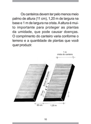 Os canteiros devem ter pelo menos meio 
palmo de altura (11 cm), 1,20 m de largura na 
base e 1 m de largura na crista. A altura é mui-to 
importante para proteger as plantas 
da umidade, que pode causar doenças. 
O comprimento do canteiro varia conforme o 
terreno e a quantidade de plantas que você 
quer produzir. 
10 
 