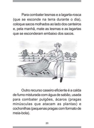 Para combater lesmas e a lagarta-rosca 
(que se esconde na terra durante o dia), 
coloque sacos molhados ao lado dos canteiros 
e, pela manhã, mate as lesmas e as lagartas 
que se esconderam embaixo dos sacos. 
Outro recurso caseiro eficiente é a calda 
de fumo misturada com água de sabão, usada 
para combater pulgões, ácaros (pragas 
minúsculas que atacam as plantas) e 
cochonilhas (pequenas pragas com formato de 
meia-bola). 
20 
 