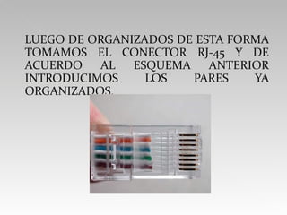 LUEGO DE ORGANIZADOS DE ESTA FORMA TOMAMOS EL CONECTOR RJ-45 Y DE ACUERDO AL ESQUEMA ANTERIOR INTRODUCIMOS LOS PARES YA ORGANIZADOS.