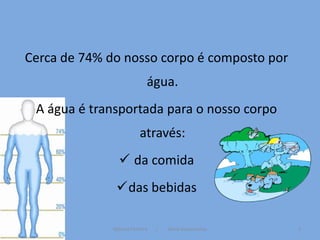 Cerca de 74% do nosso corpo é composto por
                            água.
 A água é transportada para o nosso corpo
                         através:
                 da comida
               das bebidas

              Mónica Ferreira   /   Vânia Vasconcelos   3
 