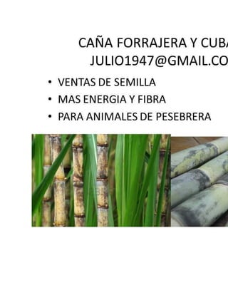 Como preparar un buen ensilaje