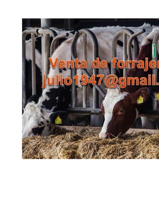 Como preparar un buen ensilaje