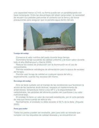 una capacidad menor a 2 m3, su forma puede ser un paralelepípedo con base rectangular. Entre las desventajas del siloen zanja estan: la necesidad de recubrir sus paredes para evitar el contacto con la tierra y de tomar precauciones para asegurar que no penetre agua dentro del silo. 
Silo Horizontal 
Ventajas del ensilaje 
Conserva el valor nutritivo del pasto durante largo tiempo. Suministra forraje suculento de calidad uniforme y de buen sabor durante todo el año (Bethancourt y García 2009). Reduce los costos de producción con la disminución en el uso de concentrados. Permite establecer estrategias de alimentación para la época de escasez de forrajes. Permite usar forraje de calidad en cualquier época del año y, especialmente, cuando hay escasez del mismo. 
Desventajas del ensilaje 
Sino se tiene cuidado con el manejo de las condiciones que favorecen la acción de las bacterias ácido lácticas, respecto al mantenimiento de anaerobiosis, temperatura menor a los 30º C y la disponibilidad de carbohidratos, las pérdidas del alimento pueden ser cuantiosas o su valor nutricional bajo. El ensilaje no tiene un valor de mercado establecido, por el corto período de vida que tiene cuando se abre el silo. Normalmente, el ensilado no debe exceder el 50 % de la dieta. (Argueta 2005) 
Pastos para ensilar 
Todos los pastos pueden ser ensilados, pero para esto se necesita que cumplan con los requisitos de calidad deseada y se encuentren en  