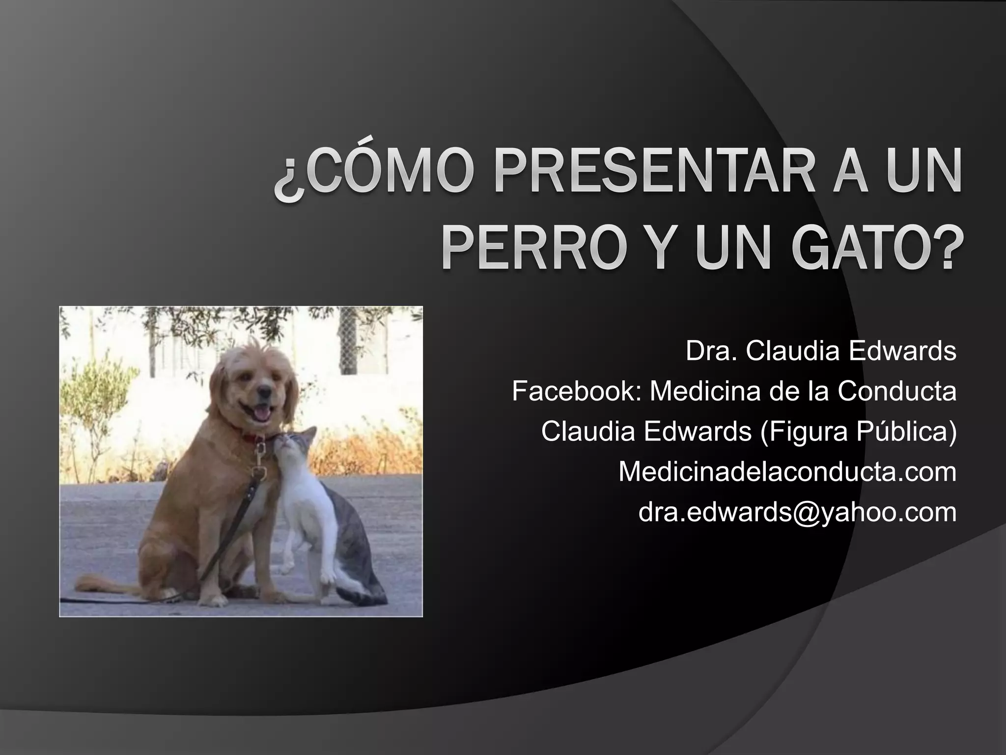 Como presentar un gato y un perro | PPT