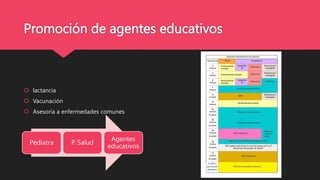 Promoción de agentes educativos
 lactancia
 Vacunación
 Asesoría a enfermedades comunes
Pediatra P. Salud
Agentes
educativos
 