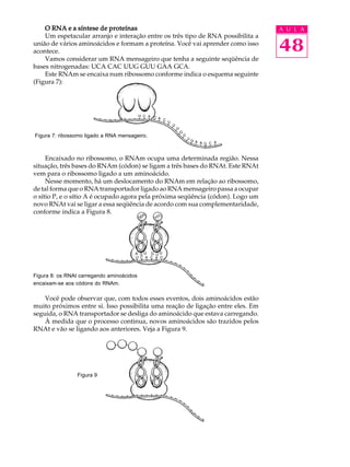 48
A U L AO RNA e a síntese de proteínasO RNA e a síntese de proteínasO RNA e a síntese de proteínasO RNA e a síntese de proteínasO RNA e a síntese de proteínas
Um espetacular arranjo e interação entre os três tipo de RNA possibilita a
união de vários aminoácidos e formam a proteína. Você vai aprender como isso
acontece.
Vamos considerar um RNA mensageiro que tenha a seguinte seqüência de
bases nitrogenadas: UCA CAC UUG GUU GAA GCA.
Este RNAm se encaixa num ribossomo conforme indica o esquema seguinte
(Figura 7):
Figura 7: ribossomo ligado a RNA mensageiro.
Encaixado no ribossomo, o RNAm ocupa uma determinada região. Nessa
situação, três bases do RNAm (códon) se ligam a três bases do RNAt. Este RNAt
vem para o ribossomo ligado a um aminoácido.
Nesse momento, há um deslocamento do RNAm em relação ao ribossomo,
de tal forma que o RNA transportador ligado ao RNA mensageiro passa a ocupar
o sítio P, e o sítio A é ocupado agora pela próxima seqüência (códon). Logo um
novo RNAt vai se ligar a essa seqüência de acordo com sua complementaridade,
conforme indica a Figura 8.
Figura 8: os RNAt carregando aminoácidos
encaixam-se aos códons do RNAm.
Você pode observar que, com todos esses eventos, dois aminoácidos estão
muito próximos entre si. Isso possibilita uma reação de ligação entre eles. Em
seguida, o RNA transportador se desliga do aminoácido que estava carregando.
À medida que o processo continua, novos aminoácidos são trazidos pelos
RNAt e vão se ligando aos anteriores. Veja a Figura 9.
Figura 9
 