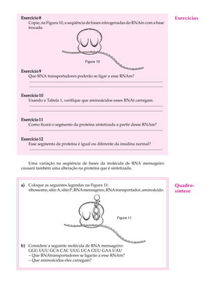 48
A U L AExercício 8Exercício 8Exercício 8Exercício 8Exercício 8
Copie, na Figura 10, a seqüência de bases nitrogenadas do RNAm com a base
trocada.
Figura 10
Exercício 9Exercício 9Exercício 9Exercício 9Exercício 9
Que RNA transportadores poderão se ligar a esse RNAm?
..................................................................................................................................
..................................................................................................................................
Exercício 10Exercício 10Exercício 10Exercício 10Exercício 10
Usando a Tabela 1, verifique que aminoácidos esses RNAt carregam.
..................................................................................................................................
..................................................................................................................................
Exercício 11Exercício 11Exercício 11Exercício 11Exercício 11
Como ficará o segmento da proteína sintetizada a partir desse RNAm?
..................................................................................................................................
Exercício 12Exercício 12Exercício 12Exercício 12Exercício 12
Esse segmento de proteína é igual ou diferente da insulina normal?
..................................................................................................................................
Uma variação na seqüência de bases da molécula de RNA mensageiro
causará também uma alteração na proteína que é sintetizada.
a)a)a)a)a) Coloque as seguintes legendas na Figura 11:
ribossomo,sítioA,sítioP,RNAmensageiro,RNAtransportador,aminoácido.
b)b)b)b)b) Considere a seguinte molécula de RNA mensageiro:
GGG UUU GCA CAC UUG UCA GUU GAA UAU
- Que RNAtransportadores se ligarão a esse RNAm?
- Que aminoácidos eles carregam?
Exercícios
Figura 11
Quadro-
síntese
 