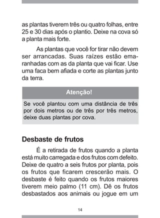 as plantas tiverem três ou quatro folhas, entre 
25 e 30 dias após o plantio. Deixe na cova só 
a planta mais forte. 
As plantas que você for tirar não devem 
ser arrancadas. Suas raízes estão ema-ranhadas 
com as da planta que vai ficar. Use 
uma faca bem afiada e corte as plantas junto 
da terra. 
Atenção! 
Se você plantou com uma distância de três 
por dois metros ou de três por três metros, 
deixe duas plantas por cova. 
Desbaste de frutos 
É a retirada de frutos quando a planta 
está muito carregada e dos frutos com defeito. 
Deixe de quatro a seis frutos por planta, pois 
os frutos que ficarem crescerão mais. O 
desbaste é feito quando os frutos maiores 
tiverem meio palmo (11 cm). Dê os frutos 
desbastados aos animais ou jogue em um 
14 
 