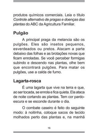produtos químicos comerciais. Leia o título 
Controle alternativo de pragas e doenças das 
plantas do ABC da Agricultura Familiar. 
Pulgão 
A principal praga da melancia são os 
pulgões. Eles são insetos pequenos, 
esverdeados ou pretos. Atacam a parte 
debaixo das folhas e as brotações novas que 
ficam enroladas. Se você perceber formigas 
subindo e descendo nas plantas, olhe bem 
que encontrará pulgões. Para matar os 
pulgões, use a calda de fumo. 
Lagarta-rosca 
É uma lagarta que vive na terra e que, 
ao ser tocada, se enrola e fica quieta. Ela ataca 
de noite cortando as plantas. Tem cor pardo-escura 
e se esconde durante o dia. 
O combate caseiro é feito do seguinte 
modo: à noitinha, coloque sacos de tecido 
molhados perto das plantas e, na manhã 
16 
 