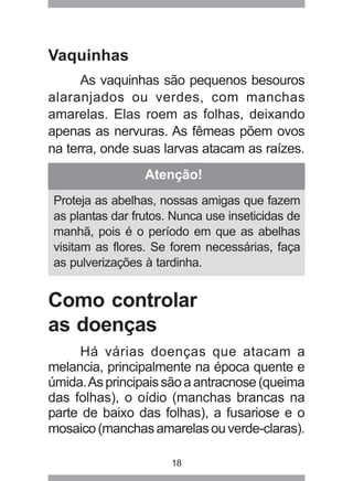 Atenção! 
Proteja as abelhas, nossas amigas que fazem 
as plantas dar frutos. Nunca use inseticidas de 
manhã, pois é o período em que as abelhas 
visitam as flores. Se forem necessárias, faça 
as pulverizações à tardinha. 
18 
Vaquinhas 
As vaquinhas são pequenos besouros 
alaranjados ou verdes, com manchas 
amarelas. Elas roem as folhas, deixando 
apenas as nervuras. As fêmeas põem ovos 
na terra, onde suas larvas atacam as raízes. 
Como controlar 
as doenças 
Há várias doenças que atacam a 
melancia, principalmente na época quente e 
úmida. As principais são a antracnose (queima 
das folhas), o oídio (manchas brancas na 
parte de baixo das folhas), a fusariose e o 
mosaico (manchas amarelas ou verde-claras). 
 