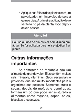 • Aplique nas folhas das plantas com um 
pulverizador, em intervalos de sete a 
quinze dias. A primeira aplicação deve 
ser feita no pé da planta, logo depois 
de ela nascer. 
Atenção! 
Só use a urina se ela estiver bem diluída em 
água. Se for aplicada pura, ela prejudicará a 
planta. 
Outras informações 
importantes 
As sementes da melancia são um 
alimento de grande valor. Elas contêm muitos 
sais minerais, vitaminas, óleos essenciais e 
proteínas, que são muito importantes para o 
organismo das pessoas. Sementes cruas e 
secas, depois de moídas e peneiradas, 
formam um pó que pode ser misturado a 
alimentos como massas, sopas, bolos, 
biscoitos e cuscuzes. 
24 
 