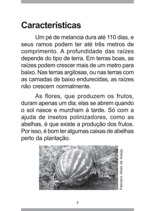 Características 
Um pé de melancia dura até 110 dias, e 
seus ramos podem ter até três metros de 
comprimento. A profundidade das raízes 
depende do tipo de terra. Em terras boas, as 
raízes podem crescer mais de um metro para 
baixo. Nas terras argilosas, ou nas terras com 
as camadas de baixo endurecidas, as raízes 
não crescem normalmente. 
As flores, que produzem os frutos, 
duram apenas um dia; elas se abrem quando 
o sol nasce e murcham à tarde. Só com a 
ajuda de insetos polinizadores, como as 
abelhas, é que existe a produção dos frutos. 
Por isso, é bom ter algumas caixas de abelhas 
perto da plantação. 
7 
Feliciano Alves de Araújo 
 