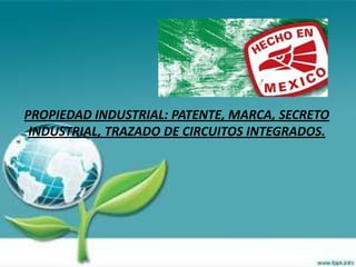 PROPIEDAD INDUSTRIAL: PATENTE, MARCA, SECRETO
INDUSTRIAL, TRAZADO DE CIRCUITOS INTEGRADOS.
 