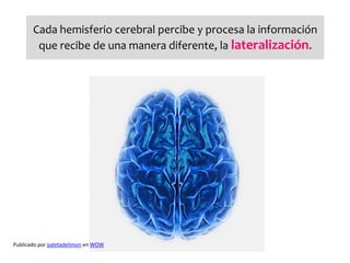 Cada hemisferio cerebral percibe y procesa la información
        que recibe de una manera diferente, la lateralización.




Publicado por paletadelimon en WOW
 
