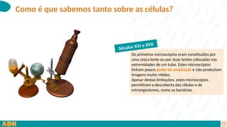 Como é que sabemos tanto sobre as células?
Os primeiros microscópios eram constituídos por
uma única lente ou por duas lentes colocadas nas
extremidades de um tubo. Estes microscópios
tinham pouco poder de ampliação e não produziam
imagens muito nítidas.
Apesar destas limitações, estes microscópios
permitiram a descoberta das células e de
microrganismos, como as bactérias.
Séculos XVI e XVII
 
