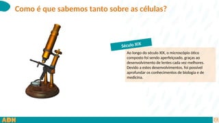 Como é que sabemos tanto sobre as células?
Ao longo do século XIX, o microscópio ótico
composto foi sendo aperfeiçoado, graças ao
desenvolvimento de lentes cada vez melhores.
Devido a estes desenvolvimentos, foi possível
aprofundar os conhecimentos de biologia e de
medicina.
Século XIX
 