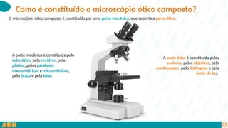 Como é constituído o microscópio ótico composto?
O microscópio ótico composto é constituído por uma parte mecânica, que suporta a parte ótica.
A parte mecânica é constituída pelo
tubo ótico, pelo revólver, pela
platina, pelos parafusos
macrométricos e micrométricos,
pelo braço e pela base.
A parte ótica é constituída pelas
oculares, pelas objetivas, pelo
condensador, pelo diafragma e pela
fonte de luz.
 