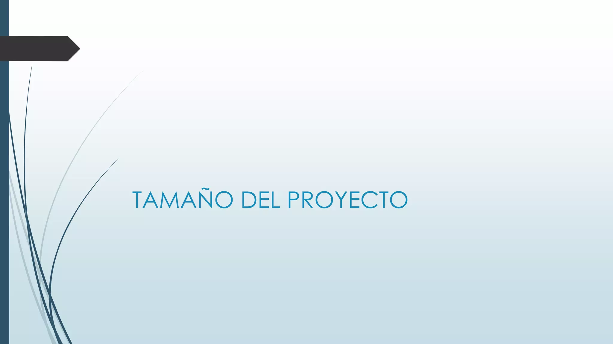 TAMAÑO DEL PROYECTO

 