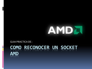 COMO RECONOCER UN SOCKET
AMD
GUIA PRACTICA DE :
 