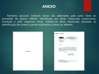 Elemento opcional contendo textos não elaborados pelo autor. Deve ser
precedido da palavra ANEXO, identificada por letras maiúsculas consecutivas,
travessão e pelo respectivo título. Utilizam-se letras maiúsculas dobradas na
identificação dos anexos quando esgotadas as letras do alfabeto.
ANEXO
 